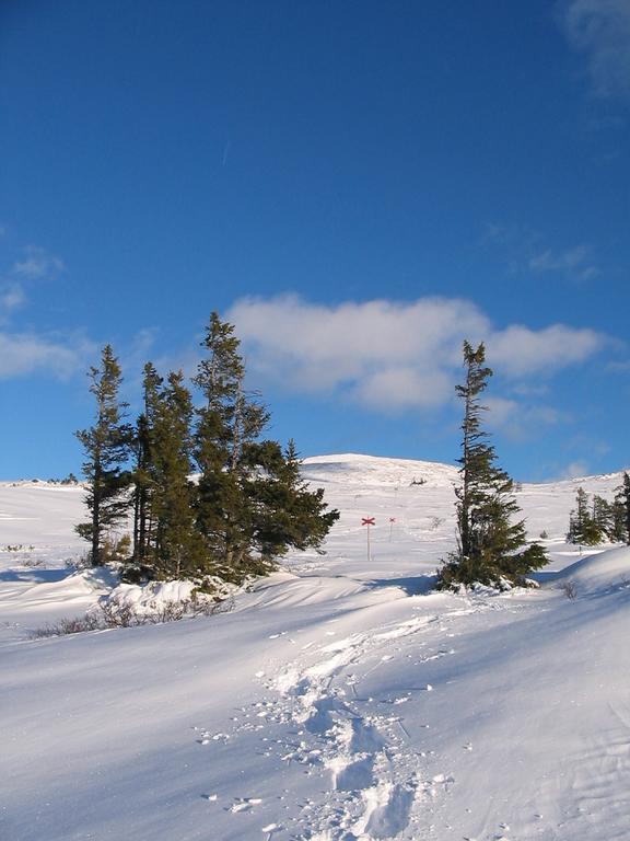 Отель Valadalens Fjaellstation Экстерьер фото