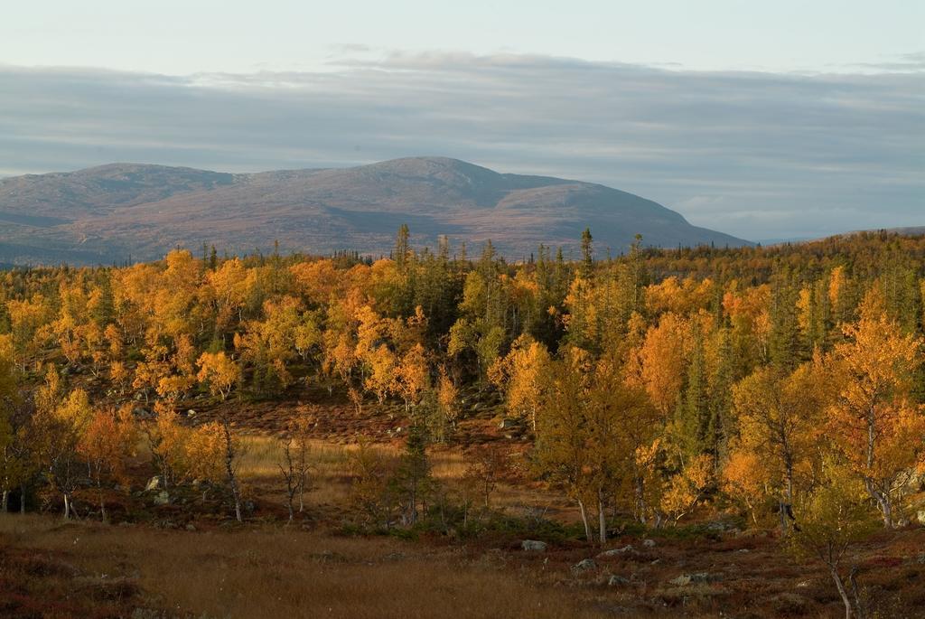 Отель Valadalens Fjaellstation Экстерьер фото