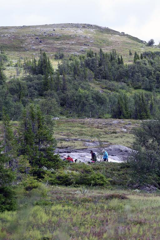 Отель Valadalens Fjaellstation Экстерьер фото